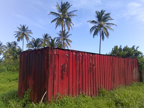A weathered red shipping container standing in grass beneath palm trees